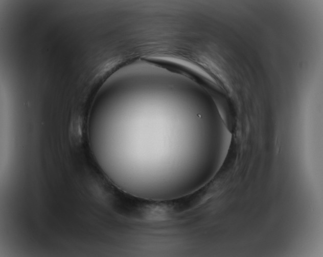 X0000086740115200704131137