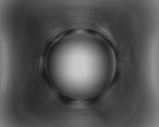 X0000086740121200704131137