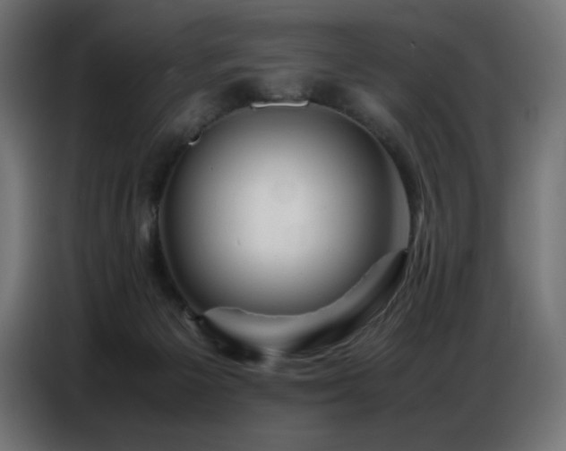 X0000086740125200704131137