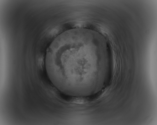 X0000086740127200704131137