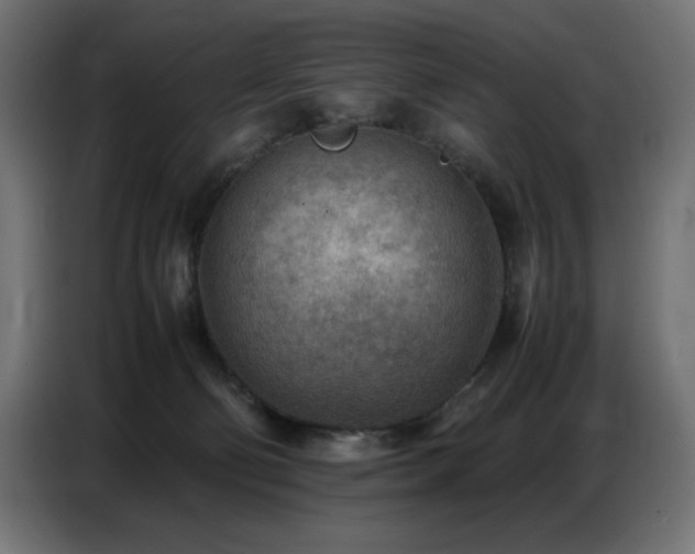X0000086740130200704131137