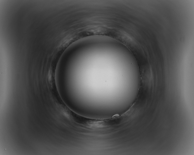 X0000086740132200704131137
