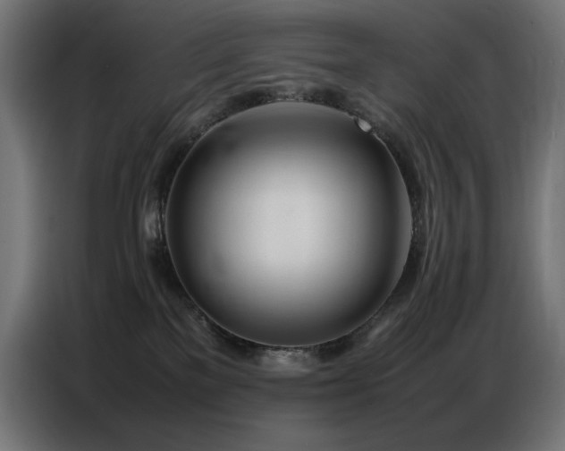X0000086740137200704131137