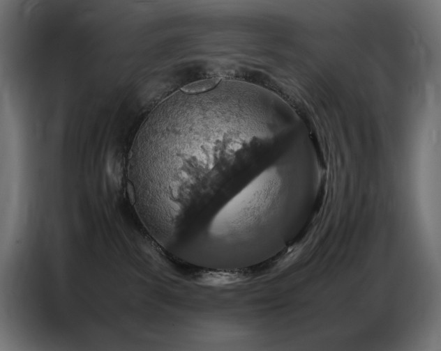 X0000086740139200704131137