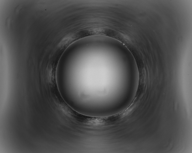 X0000086740140200704131137
