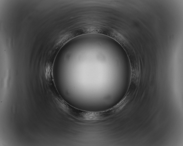 X0000086740142200704131137