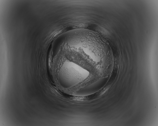 X0000086740143200704131137
