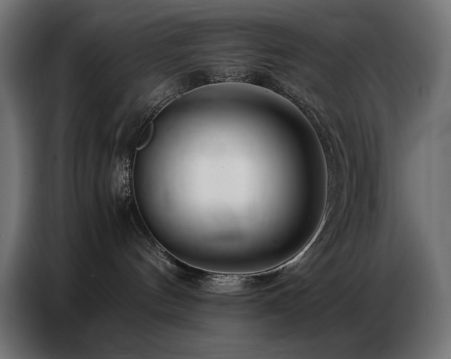 X0000086740144200704131137