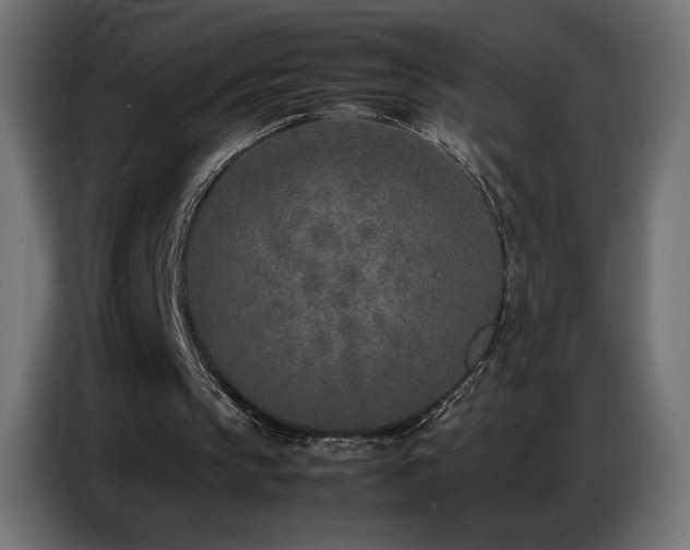 X0000086740145200704131136
