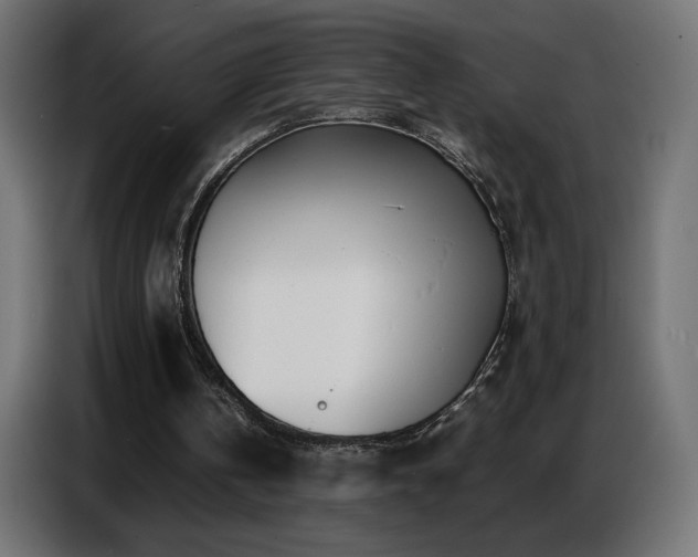 X0000086740146200704131136