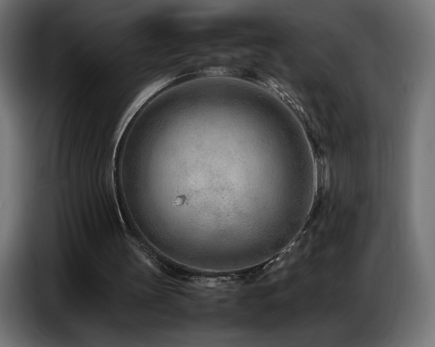 X0000086740147200704131136