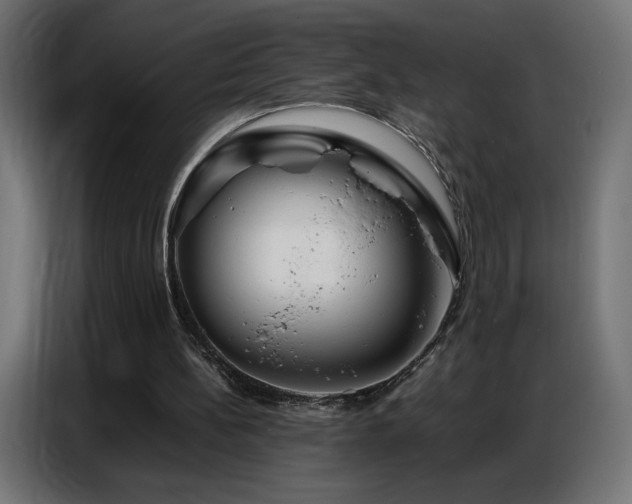 X0000086740148200704131136