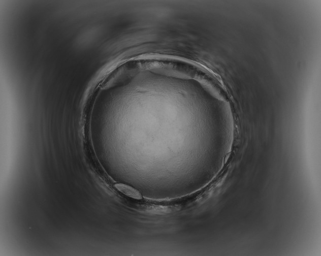 X0000086740149200704131136