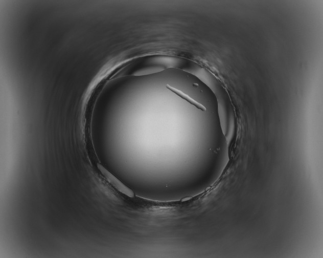 X0000086740150200704131136