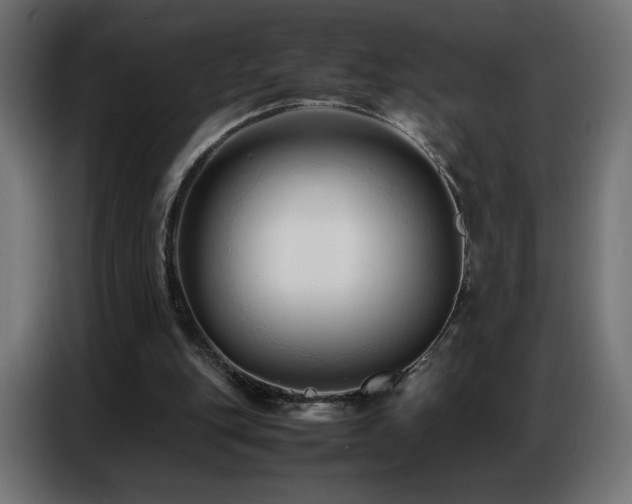X0000086740151200704131136