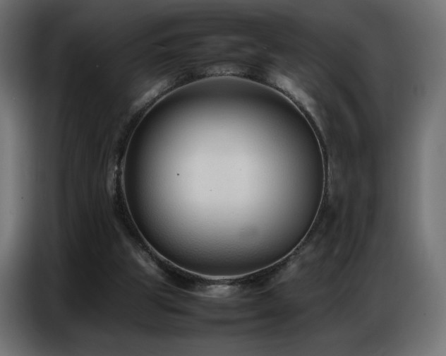 X0000086740153200704131136
