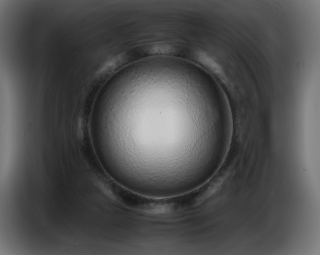X0000086740161200704131136