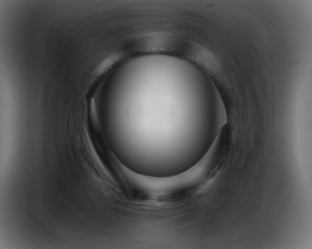 X0000086740164200704131137