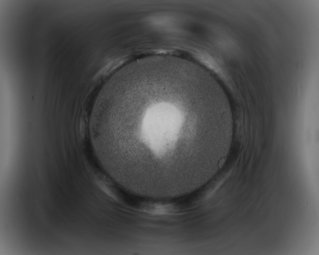 X0000086740165200704131137