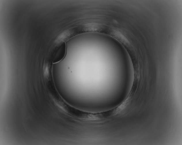 X0000086740166200704131137