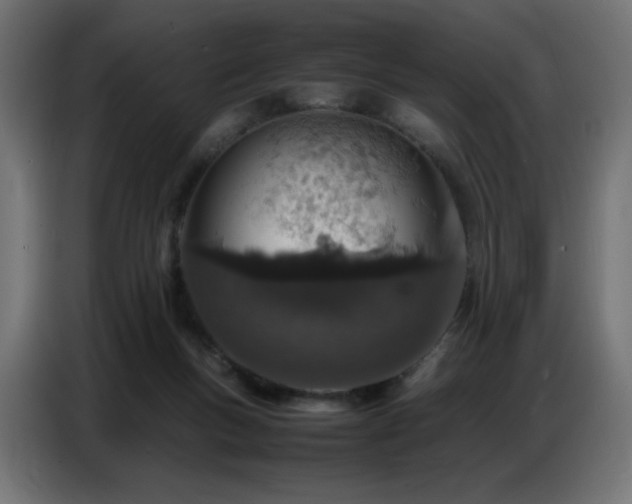 X0000086740167200704131137