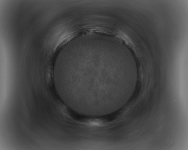 X0000086740169200704131137