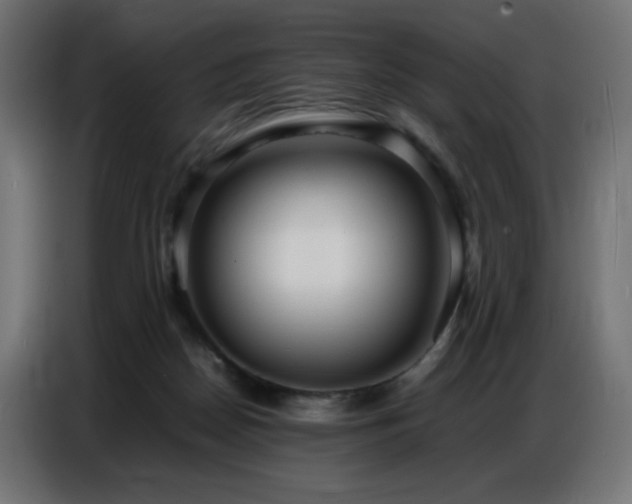 X0000086740170200704131137