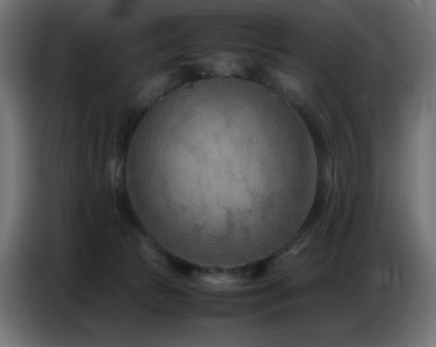 X0000086740177200704131137