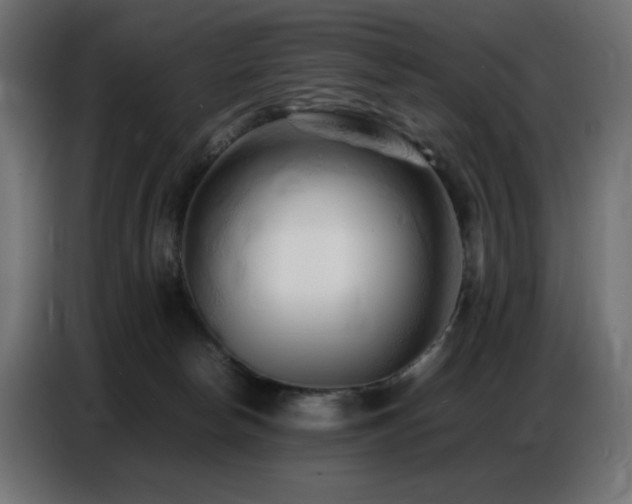 X0000086740178200704131137