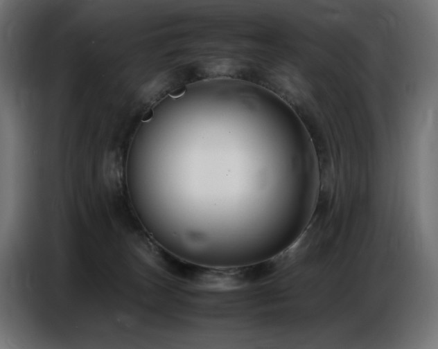 X0000086740179200704131137
