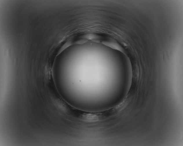 X0000086740180200704131137