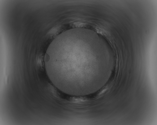 X0000086740181200704131137