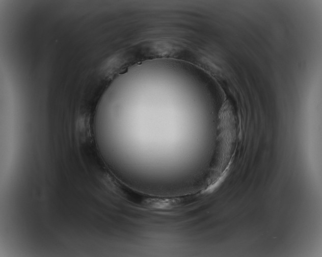 X0000086740182200704131137