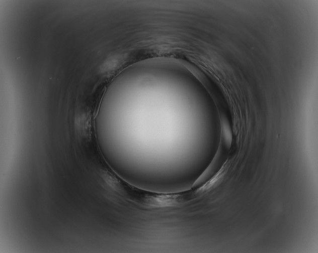X0000086740184200704131137