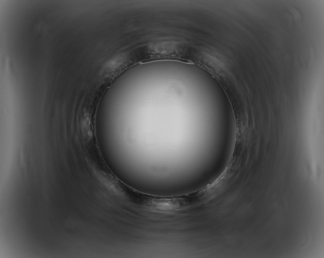 X0000086740187200704131137