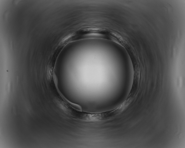 X0000086740188200704131137