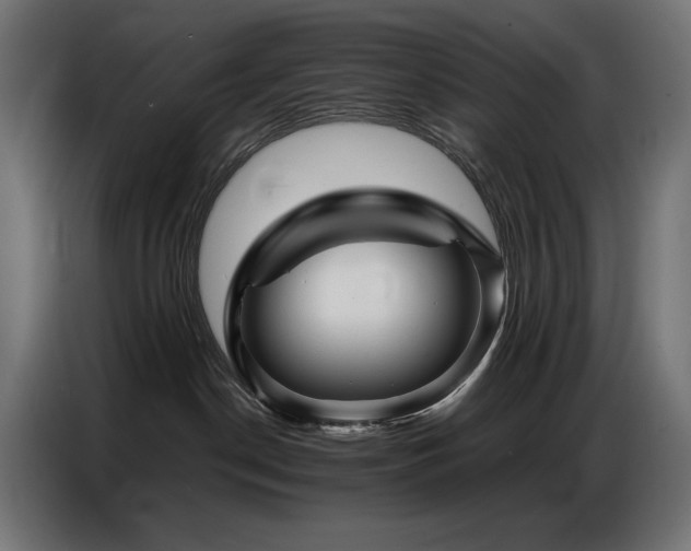 X0000086740190200704131137