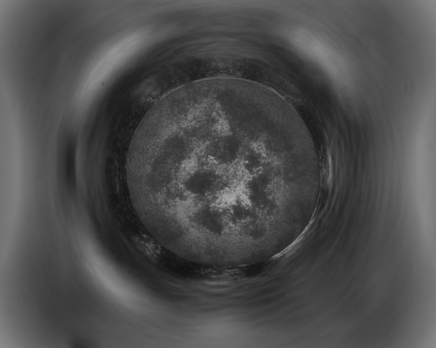 X0000086740191200704131137