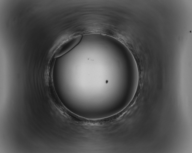 X0000086740194200704131136