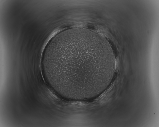 X0000086740195200704131136