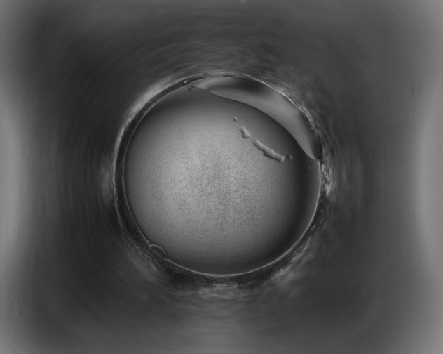 X0000086740196200704131136