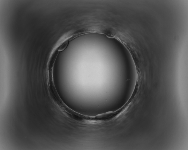 X0000086740198200704131136