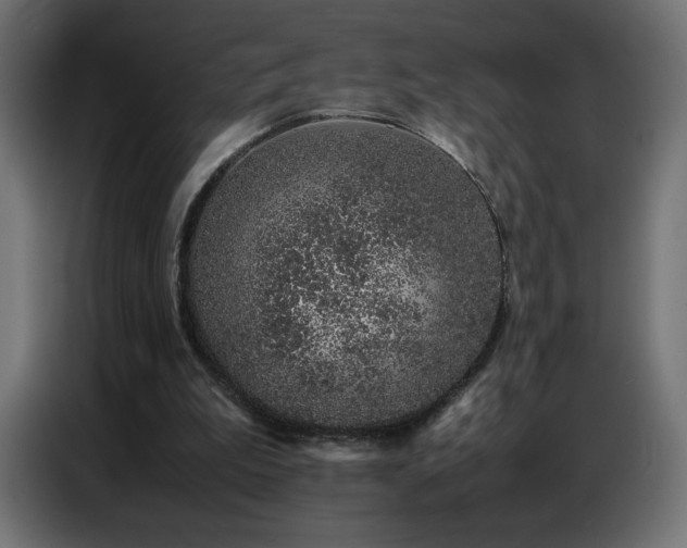 X0000086740199200704131136