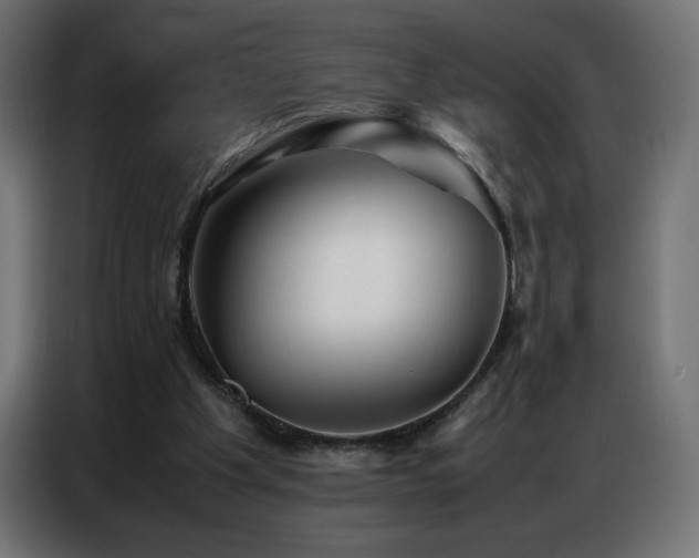 X0000086740201200704131136