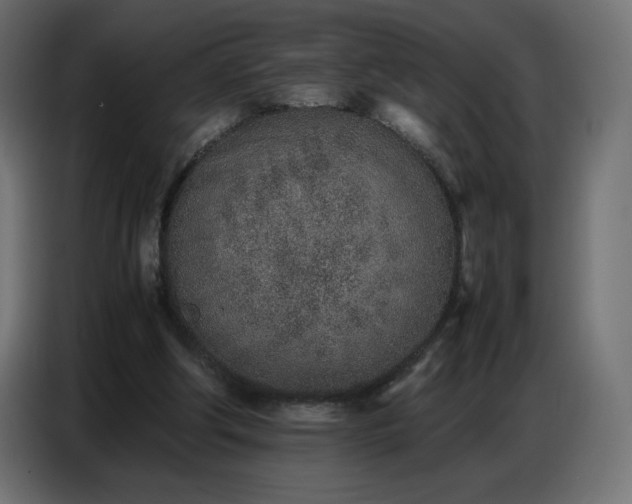 X0000086740202200704131136