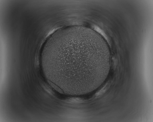 X0000086740203200704131136