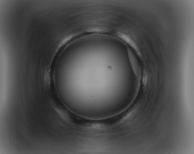 X0000086740204200704131136