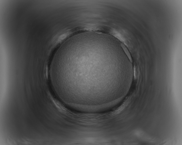X0000086740205200704131136