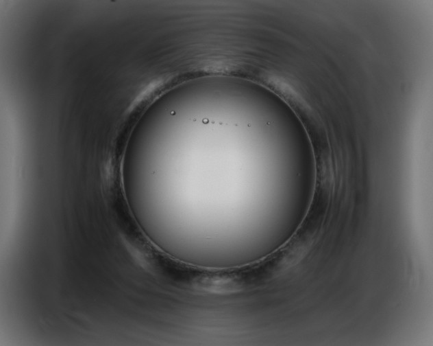 X0000086740208200704131136
