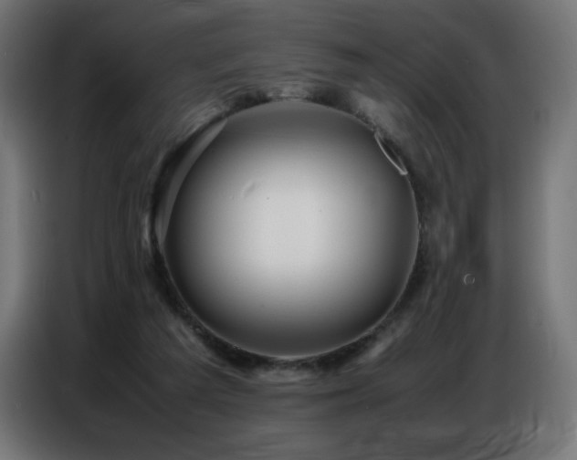 X0000086740209200704131136